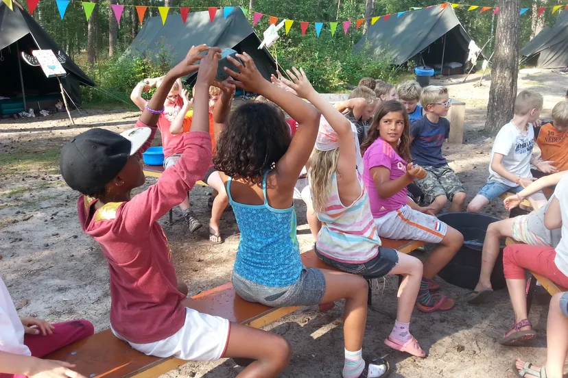 ymca vakantiekamp13885