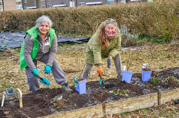 wijktuin noordhove is klaar voor de lente dankzij nldoet fotograaf leon koppenol