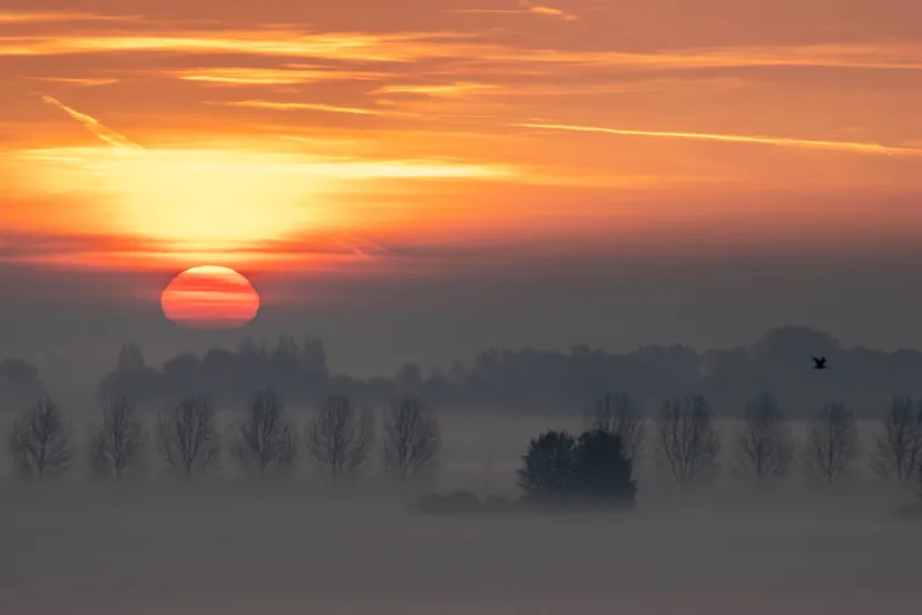 zonsopkomst in het buytenpark