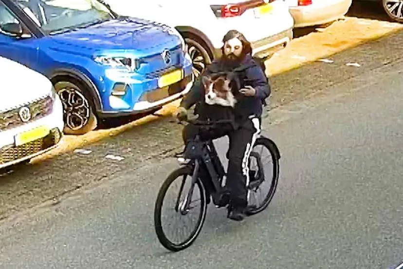 politie2018imageset_genericlandscape