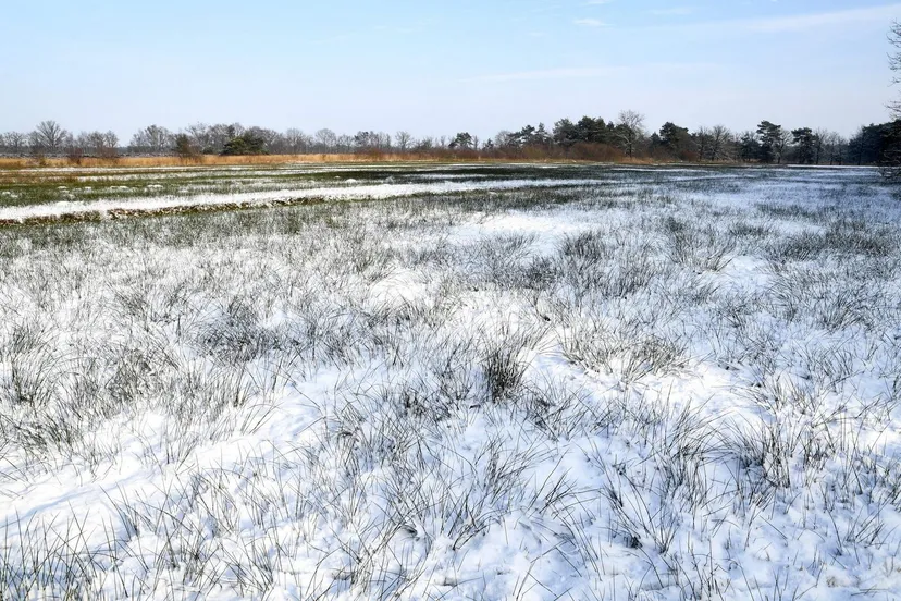 10402 20190123 achtmaal jst9989 g 5568x3712