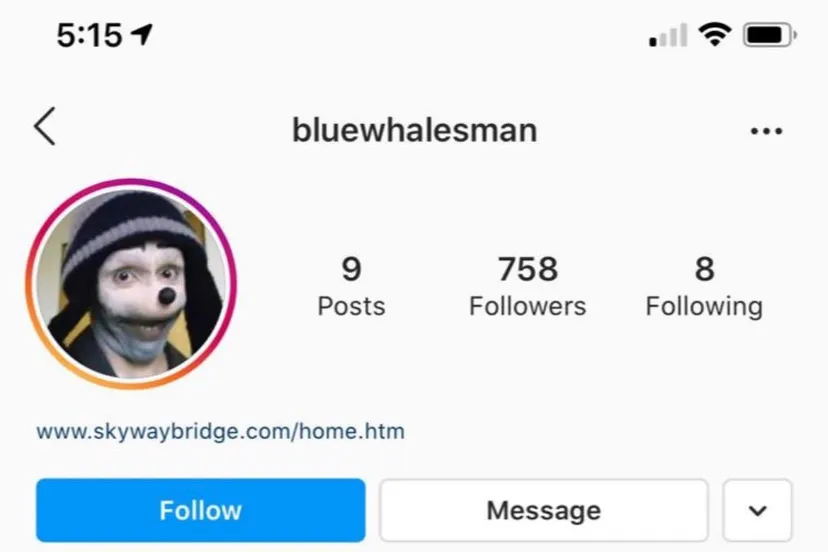 107497038 1363752753818917 4398004258526779715 o