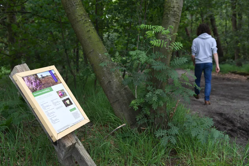 17324 20210717 achtmaal oude buisse heide jst6765 5568x3712