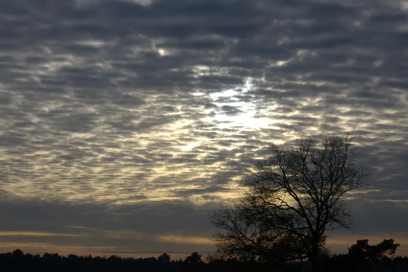 20141125 loz jst1982