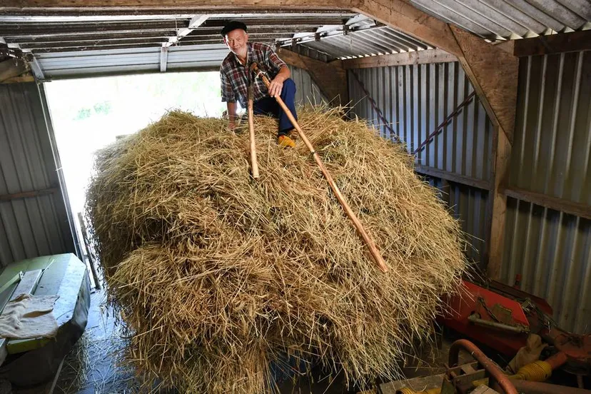 20180722 rijsbergen jst4615