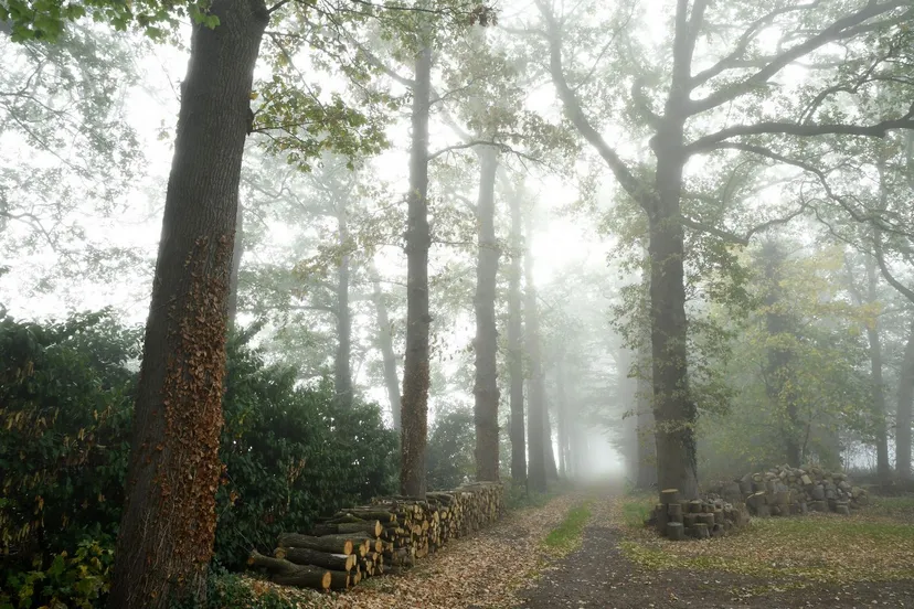 20181017 zundert de moeren jst1870