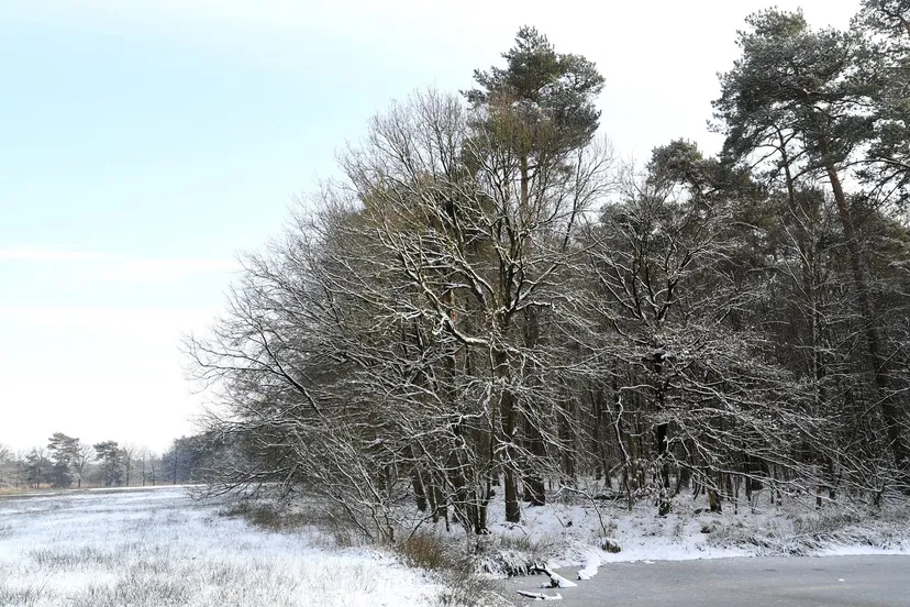 20190123 achtmaal jst9986 g