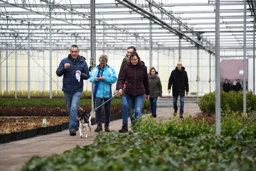 20190127 wernhout jst0952