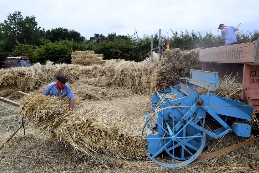 20190804 rijsbergen jst2302