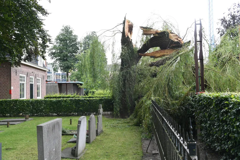 20210809 zundert treurwilg jst2385