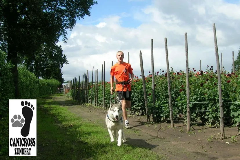 240649013 10216351204532223 9092581710501561798 n