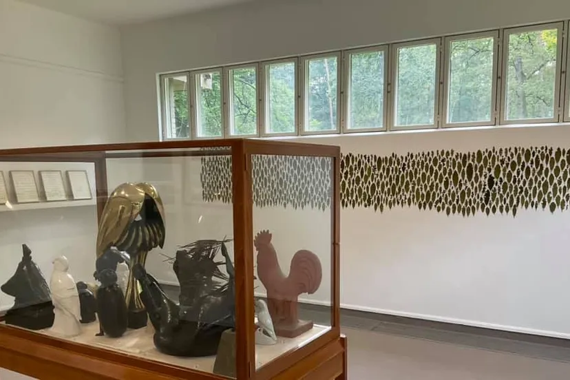 242838092 4698046653539664 2557499373716531976 n