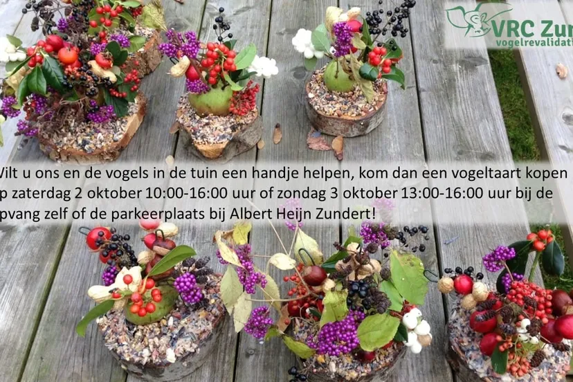 243186441 4846844328667522 2630722208346977702 n