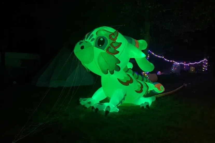 275128467 10218517447161928 1866146573522307303 n