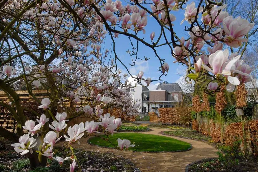 275225550 5544303105585205 3011416463001797110 n