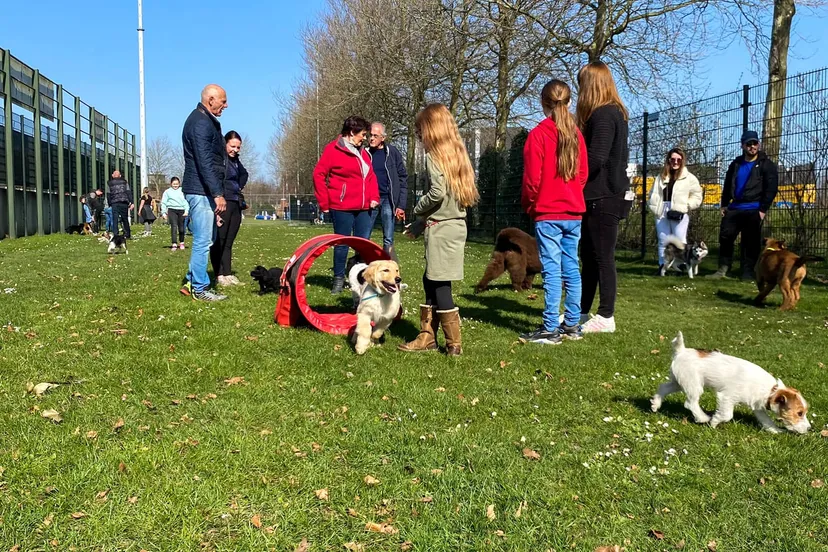 277351464 345811927488839 6081118186267744648 n