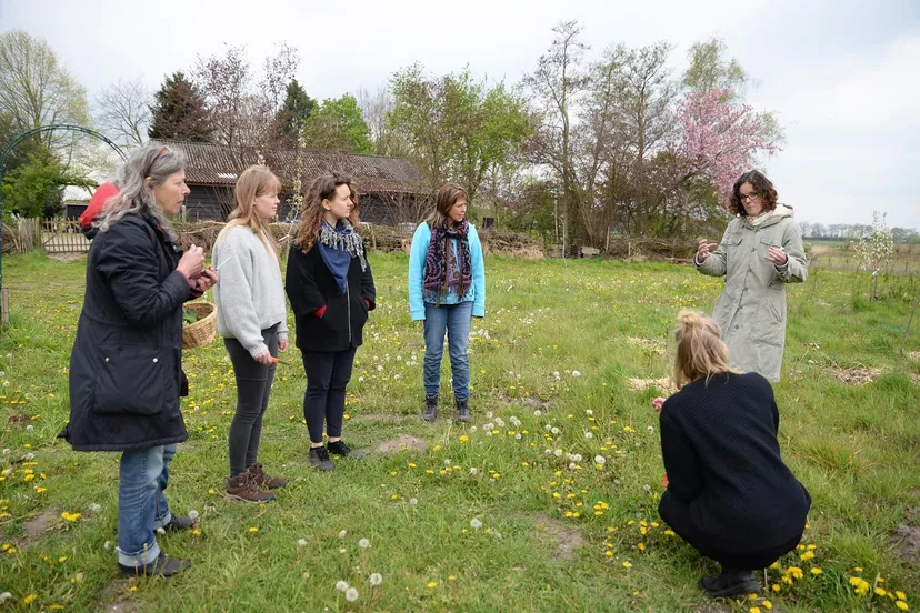 280939854 748341883213554 3484872097562926549 n