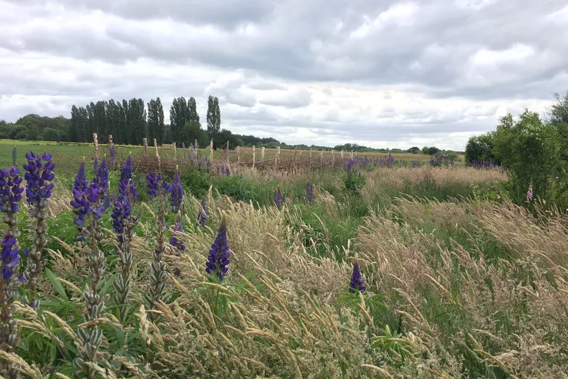 289239859 359115463042899 1623650260518106180 n