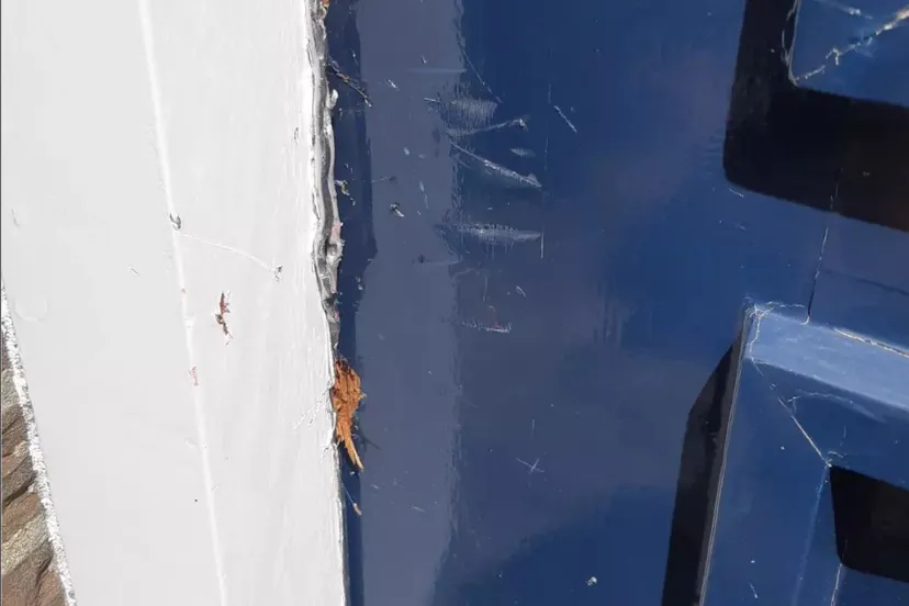 289866695 4929883213787887 6903457790517517788 n