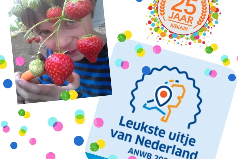 305918101 5793617470669280 5898994435027171218 n