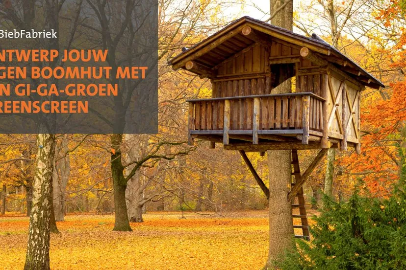 311835582 445673540995570 265122543700205260 n