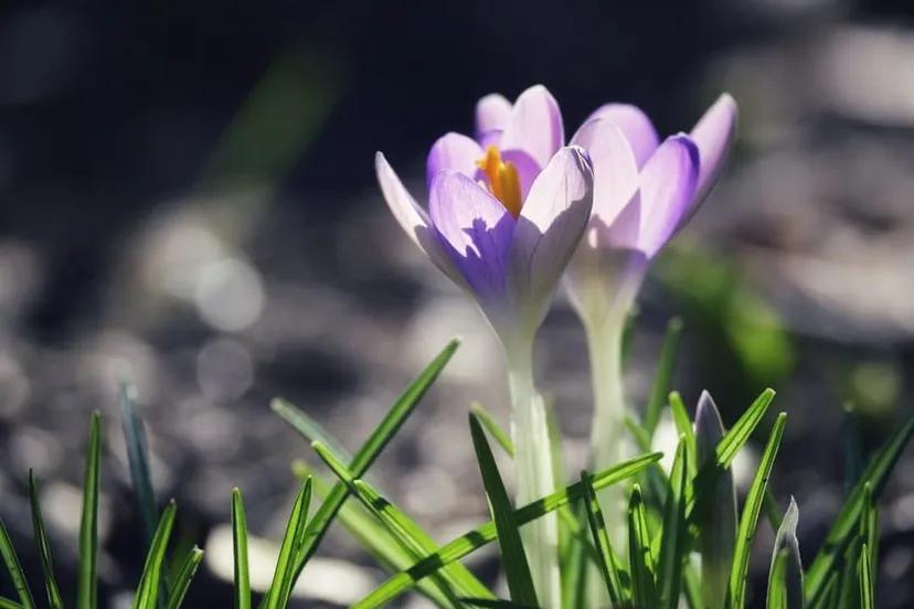 331156003 657978379664006 6637875803729227417 n