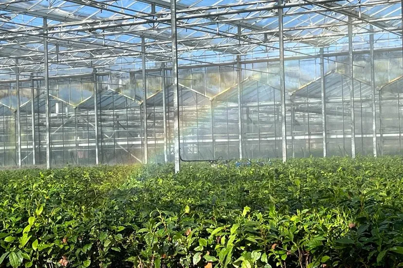 337522815 955490972128927 7337545706796021280 n