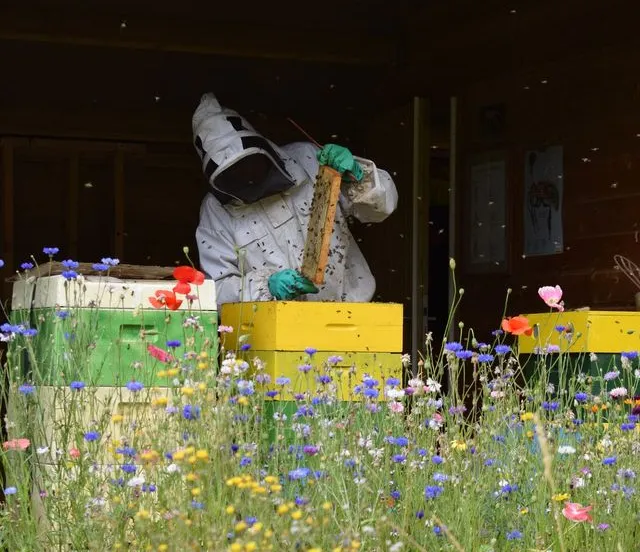 352080436 283317727433043 1694212364435494428 n