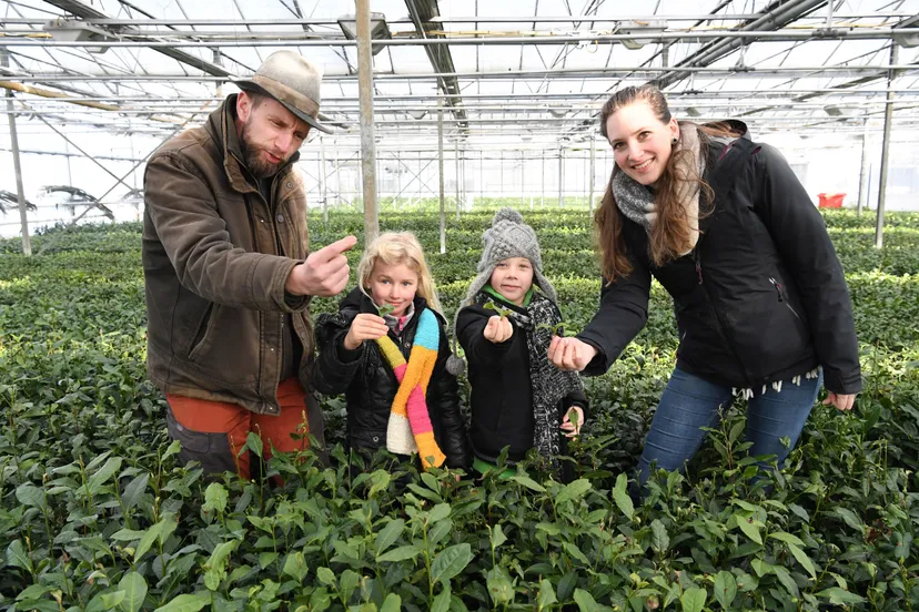 8017 20210213 zundert jst4570 n 5568x3712