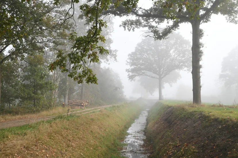 8024 20181017 zundert de moeren jst1907 5568x3712