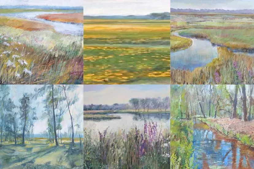 83208515 1476727222477966 5302376227741368320 o