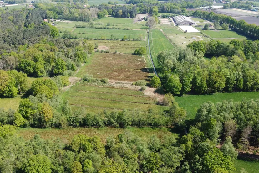 afbeelding vloeiweide