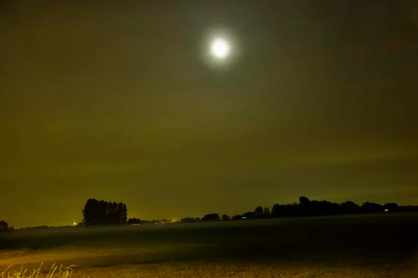 anne geene nachtwandeling nr4