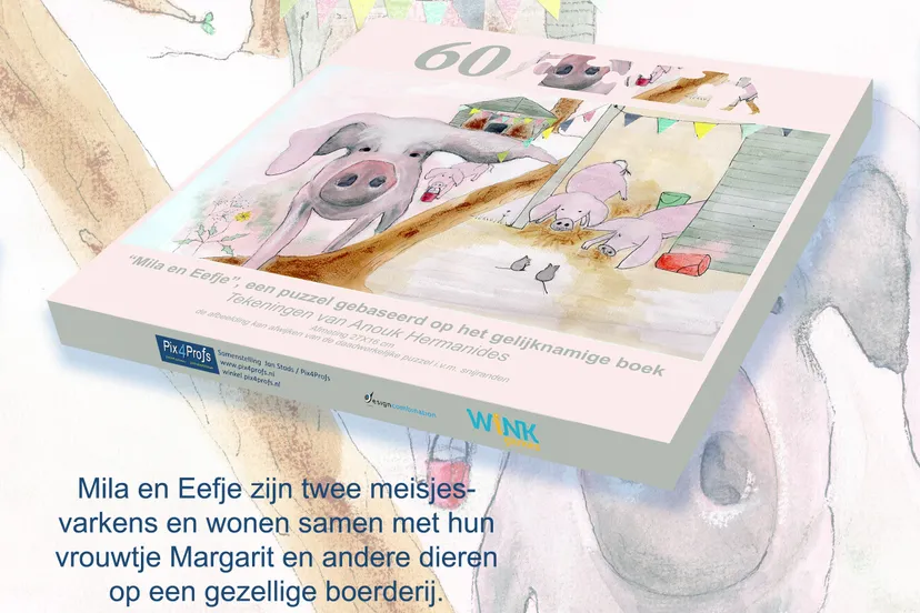 basisontwerp doos mila eefje promotie 2