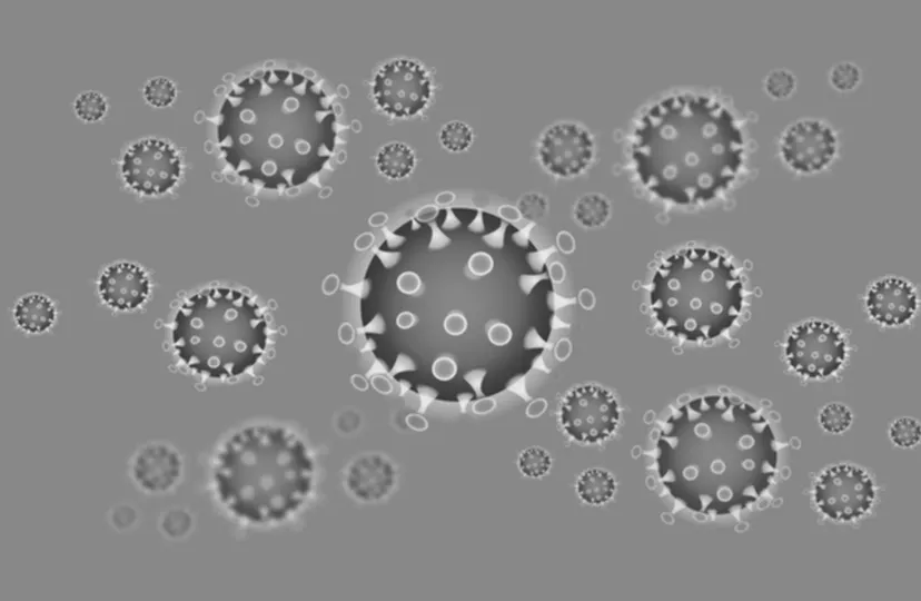 corona 4901908 960 720 zw pixabay