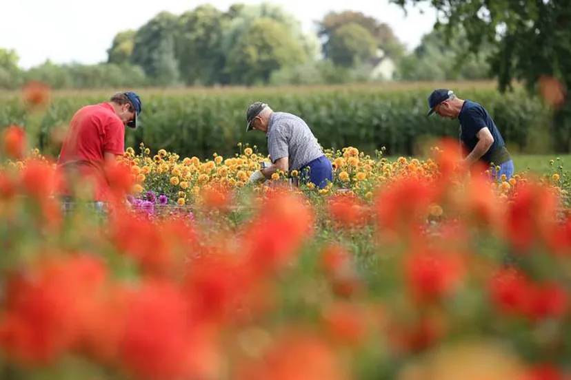 coronaduidelijke taal 1024x588kopie