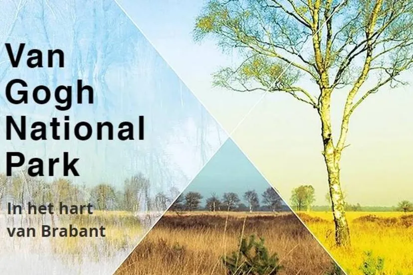 csm van gogh national park 41164e4339