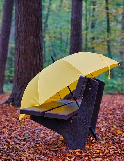 forest g67ca22eb0 640