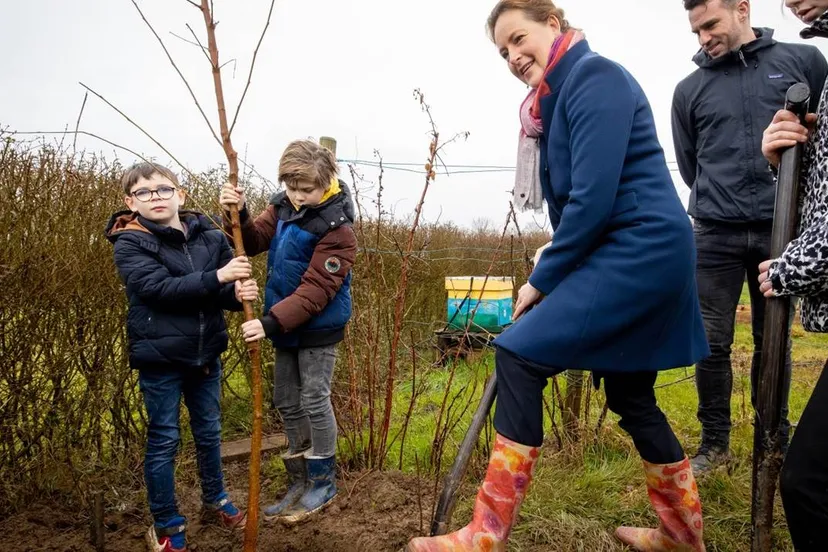groene schoolpleinen