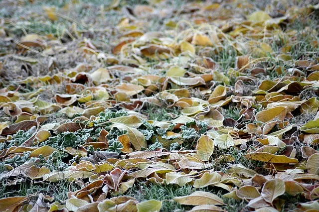 ground frost ge43fce39b 640