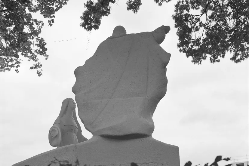 marijn de jong in zundert 20221016 23014502 2000x2029 1