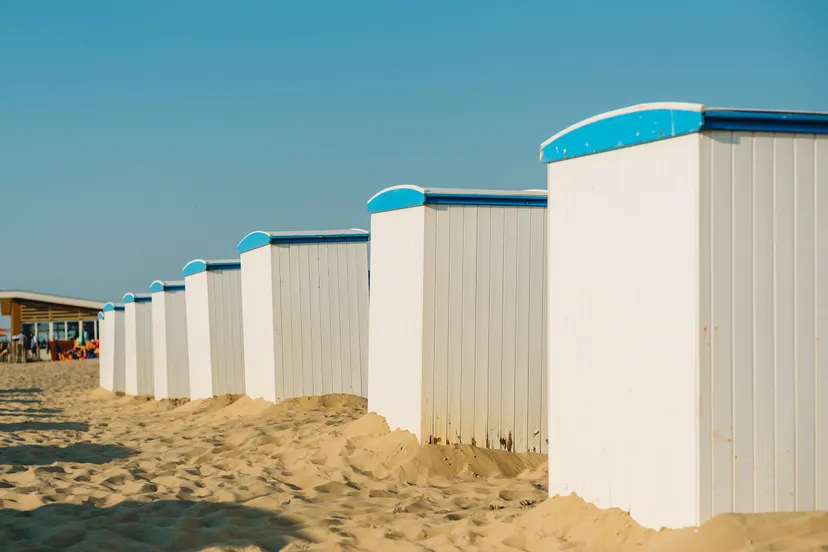 pexels larissa farber 7368605