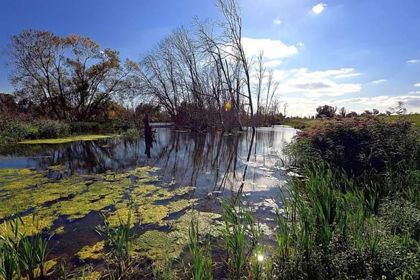 toestand van de natuur