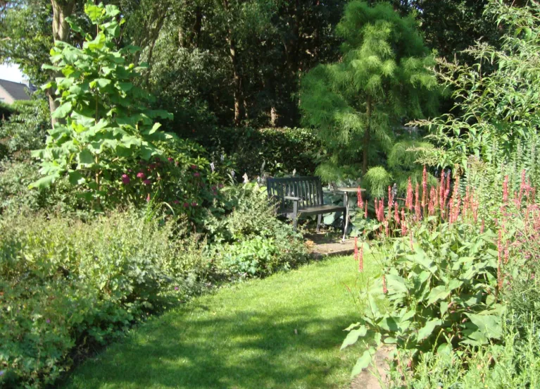 tuin toer foto 3 koeken