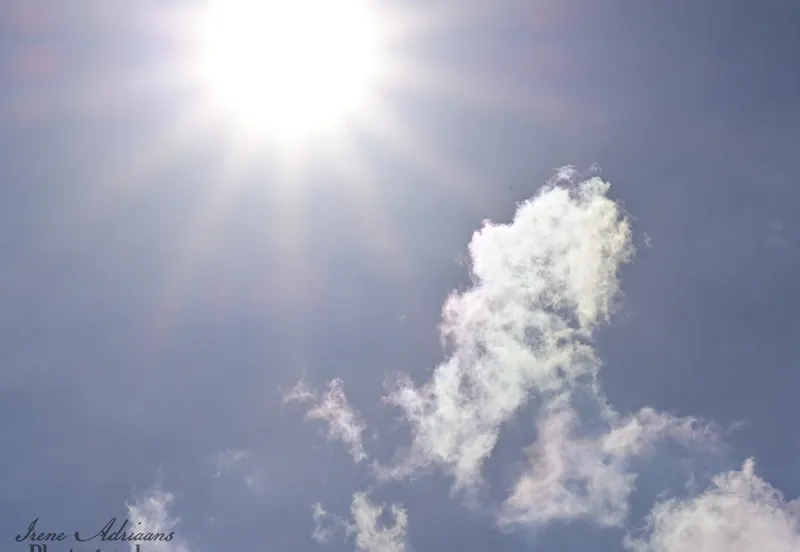 zonnestralen reeshof 1