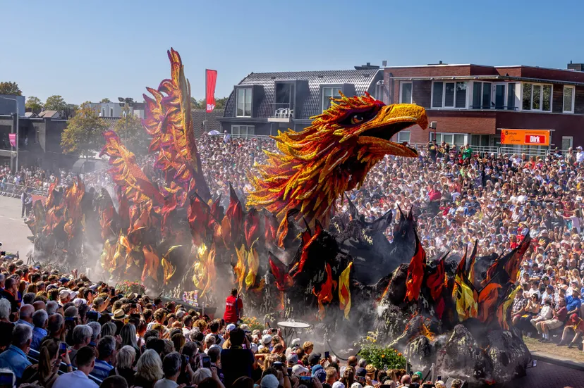 20250907_ZUNDERT_MDG00-28