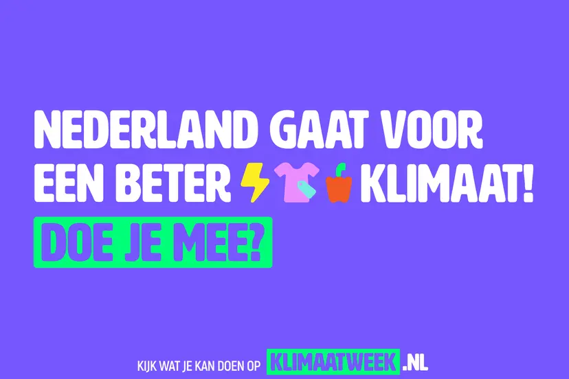 Beeld 2