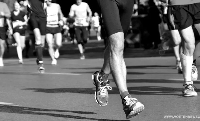 18033548 1422237347850393 8282672905554160227 n