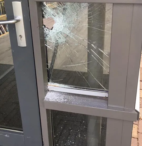 19029260 1684655371844026 4242305777175440130 n