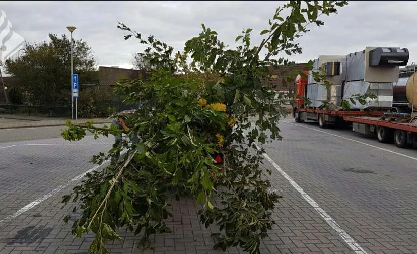 22405453 1111403155656300 8064526785914260554 n